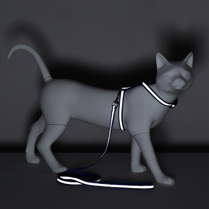Комплект для кошек светоотражающий,ширина 1 см,шлейка 21-35 см,поводок 120 см, синий