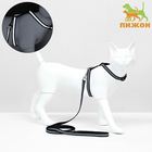 Комплект для кошек светоотражающий,ширина 1 см,шлейка 21-35 см,поводок 120 см, чёрный