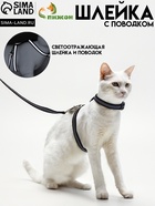 Комплект для кошек светоотражающий, ширина 1 см, шлейка 21-35 см, поводок 120 см, чёрный - Фото 1