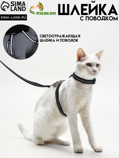 Комплект для кошек светоотражающий, ширина 1 см, шлейка 21-35 см, поводок 120 см, чёрный
