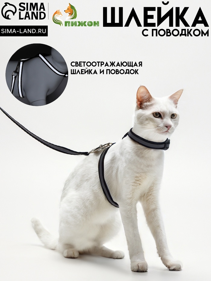 Комплект для кошек светоотражающий, ширина 1 см, шлейка 21-35 см, поводок 120 см, чёрный - Фото 1