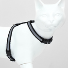 Комплект для кошек светоотражающий,ширина 1 см,шлейка 21-35 см,поводок 120 см, чёрный - фото 9076036