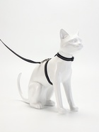 Комплект для кошек светоотражающий, ширина 1 см, шлейка 21-35 см, поводок 120 см, чёрный - Фото 2