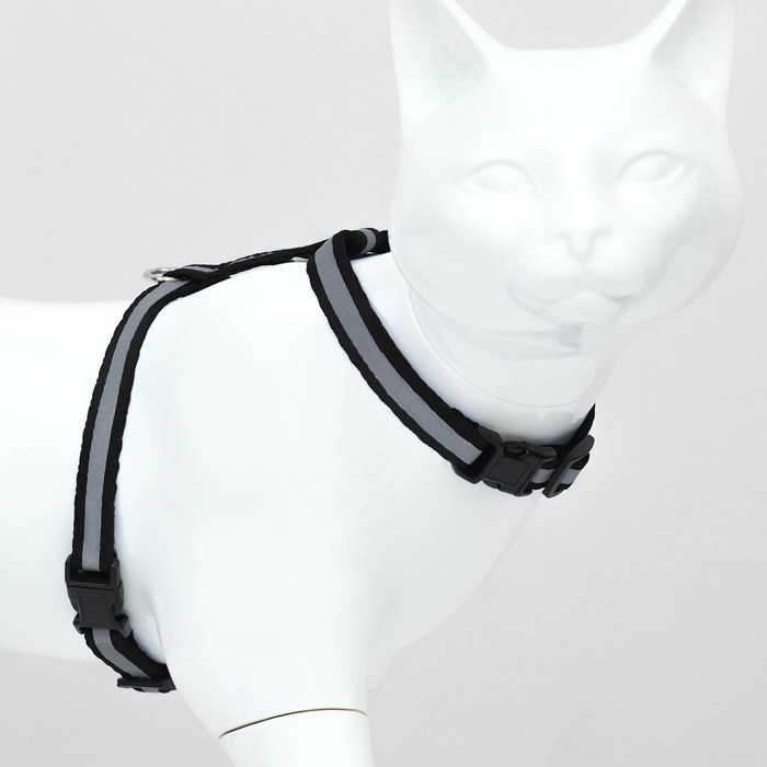 Комплект для кошек светоотражающий,ширина 1 см,шлейка 21-35 см,поводок 120 см, чёрный