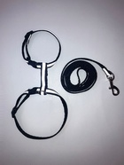 Комплект для кошек светоотражающий, ширина 1 см, шлейка 21-35 см, поводок 120 см, чёрный - Фото 5