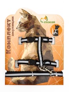 Комплект для кошек светоотражающий, ширина 1 см, шлейка 21-35 см, поводок 120 см, чёрный 9912209