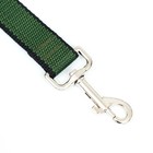 Поводок, 3 м × 2.5 см, зелёный, черный - Фото 2