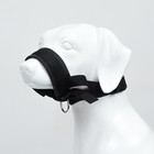 Недоуздок-намордник для собак с подкладом, размер L, ОМ 18-30 см, ОШ 16-24 см, черный - Фото 2