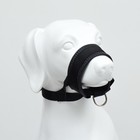 Недоуздок-намордник для собак с подкладом, размер L, ОМ 18-30 см, ОШ 16-24 см, черный - Фото 3