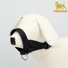 Недоуздок-намордник для собак строгий, размер M, ОM  15-26 см, ОШ 13-20 см, черный - фото 321087009