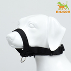 Недоуздок-намордник для собак строгий, размер L, ОМ 18-30 см, ОШ 16-24 см, черный - фото 296593692