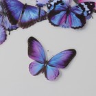 Наклейки для творчества пластик PVC "Волшебные бабочки" набор 40 шт 9х10.5 см - Фото 3