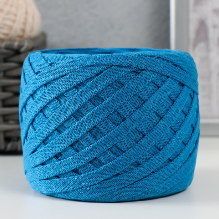 

Трикотажная пряжа "Риббон" 85м/170±5 гр (Голубой)