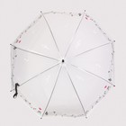 Зонт - трость полуавтоматический «Ноты», 8 спиц, R = 46 см, рисунок МИКС - Фото 8