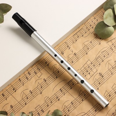 Флейта Music Life Е, серебристая, 27.5 см