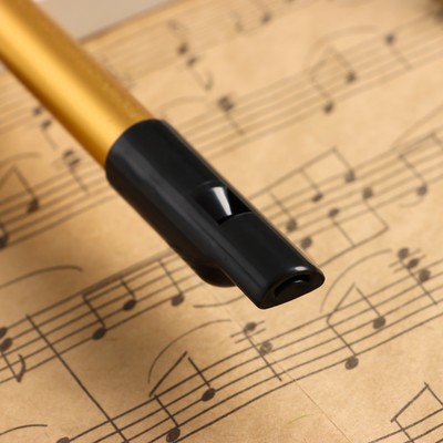Флейта Music Life D,  золотая, 30 см