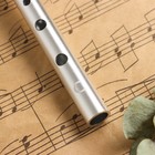Флейта Music Life С, серебристая, 32,5 см - Фото 2