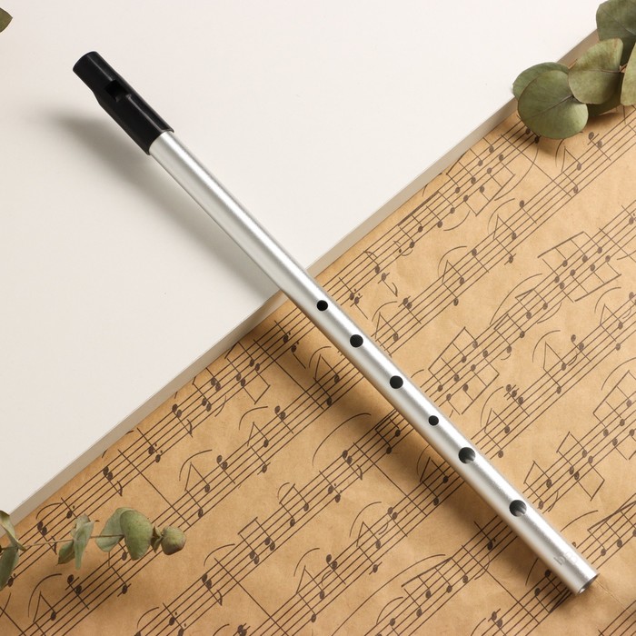 Флейта Music Life bB, серебристая, 37,5 см