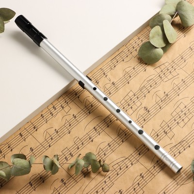 Флейта Music Life B, профи, серебристая, 37,5 см