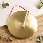 Музыкальный инструмент Гонг Music Life 22 см, колотушка в комплекте - фото 9619103