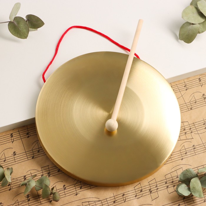 Музыкальный инструмент Гонг Music Life 22 см, колотушка в комплекте - Фото 1