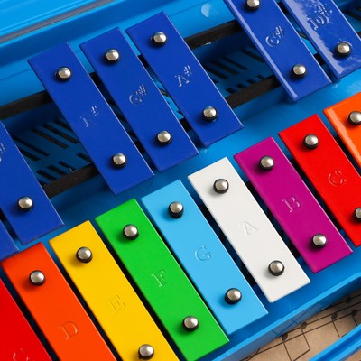 Металлофон музыкальный инструмент Music Life, 25 тонов, футляр, 2 палочки, синий