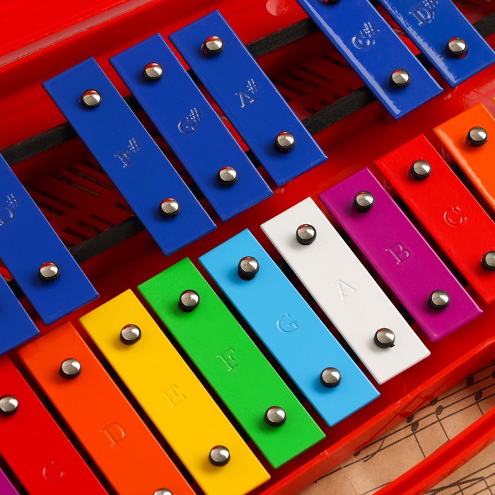 Музыкальный инструмент Металлофон Music Life, 25 тонов, футляр, 2 палочки, красный