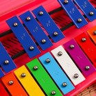 Музыкальный инструмент Металлофон Music Life, 25 тонов, футляр, 2 палочки, розовый - Фото 3
