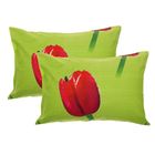 Комплект наволочек "Этель поплин" Тюльпаны 50*70 см - 2 шт, 100% хлопок, поплин - Фото 1