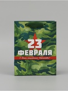 Набор подарочных ламинированных пакетов «Звезда», 10 шт, 18 × 23 × 10 см - фото 807137637