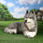 Садовая фигура из полистоуна «Волк лежит», 43×60×43 см - Фото 2