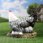 Садовая фигура "Курица на гнезде" пёстрая, 32х32х28см - Фото 2