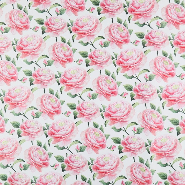 Бумага упаковочная глянцевая «Розовые пионы», 50 х 70 см