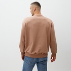 Джемпер мужской MINAKU: Basic line MAN, размер 52, бежевый - Фото 4