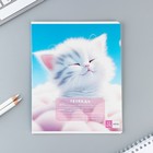 Тетрадь в клетку, 12 листов, А5, на скрепке, блок №2 «Пушистики» МИКС - Фото 10