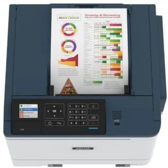 Принтер лазерный ч/б Xerox C310 Laserdrucker, 1200x1200 dpi, 33 стр/мин, А4, белый