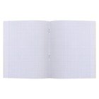 Тетрадь 96 листов в клетку, Greenery Patterns, обложка мелованный картон, глянцевая ламинация, блок офсет, 2В МИКС - фото 24569519