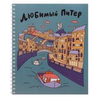 Тетрадь 48 листов в клетку на гребне Piterские коты, обложка мелованный картон, ВД-лак, блок офсет, 4В МИКС - фото 23740288