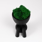 Кашпо бетонное мини "Мистер Грин в ожидании" со мхом черный 5,5х7х7 см (мох зелен стабилиз) - Фото 5