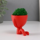 Стабилизированный мох в кашпо из бетона «Мистер Грин Ивадзару», красный, 5.5×6.5×6.5 см 10303878