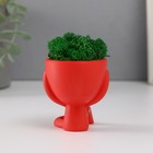 Стабилизированный мох в кашпо из бетона «Мистер Грин Ивадзару», красный, 5.5×6.5×6.5 см 10303878