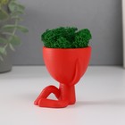 Стабилизированный мох в кашпо из бетона «Мистер Грин Ивадзару», красный, 5.5×6.5×6.5 см 10303878