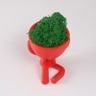 Стабилизированный мох в кашпо из бетона «Мистер Грин Ивадзару», красный, 5.5×6.5×6.5 см 10303878