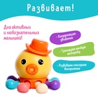 Развивающая игрушка для малышей «Осьминог» - Фото 5