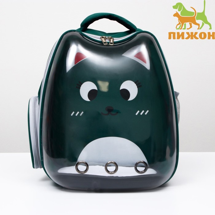 Рюкзак для переноски животных "Котик", прозрачный, 34 х 25 х 40 см, зелёный - Фото 1
