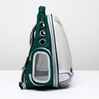 Рюкзак для переноски животных "Котик", прозрачный, 34 х 25 х 40 см, зелёный - Фото 2