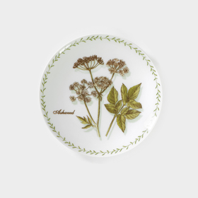 Тарелка фарфоровая «Ботаника», d=24 см