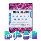 Файл-вкладыш А4, 180 мкм, Calligrata, ПВХ, усиленный, с расширением, матовый, 5 штук - Фото 1