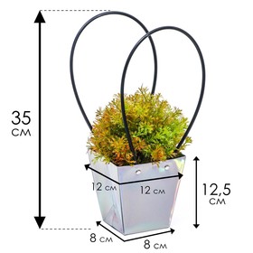 Сумка для цветов Голографическая влагостойкая, 12x12-8x8-12.5 см. 1 шт