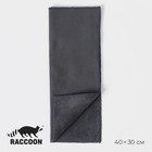 Салфетка для уборки Raccoon «Суперплотная профи», 30×40 см, микрофибра, цвет серый - фото 321092197